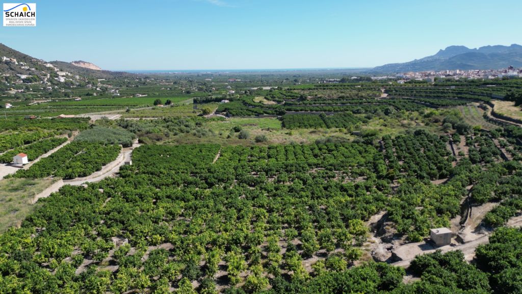 Set amidst the beautiful countryside surrounding Pego, this spacious plot of approximately 11,900 m² offers a wonderful combination of panoramic views